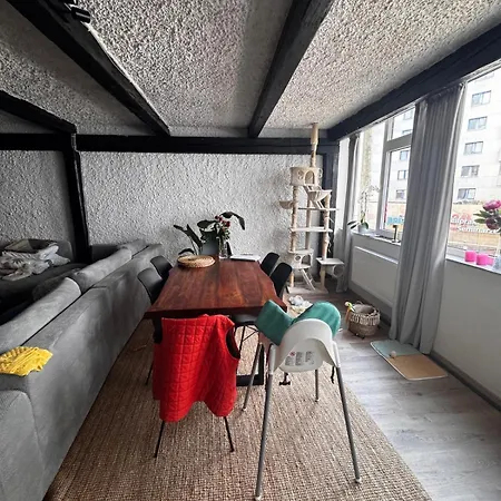 Exclusive Luxury Apartment, דירה רוזנהיים